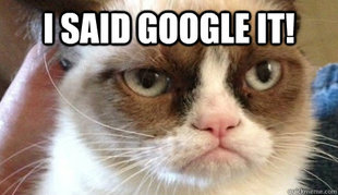 Grumpy cat