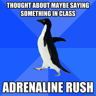 Socially Awkward Penguin