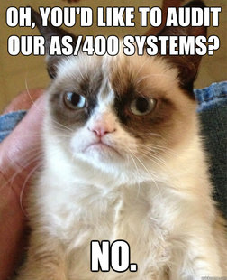 Grumpy cat