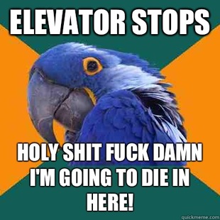 Paranoid Parrot