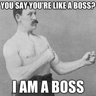 overly manly man