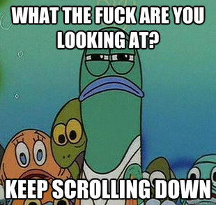 Serious fish SpongeBob