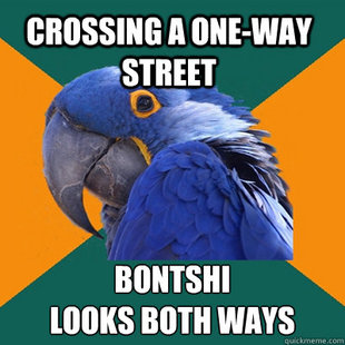 Paranoid Parrot