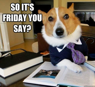 Lawyer Dog