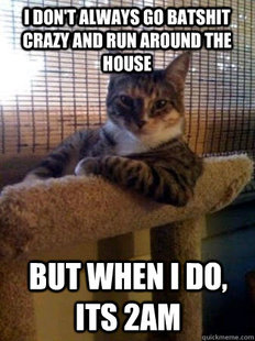 The Most Interesting Cat in the World