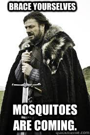 Brace Yourselves
