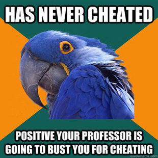 Paranoid Parrot