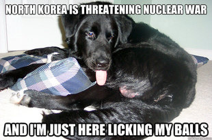 Dog Licking Balls