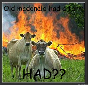 Evil cows