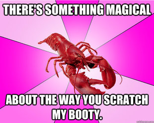 Long-term relationship Lobster