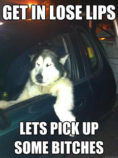 Mean Dog
