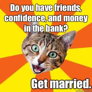 Bad Advice Cat