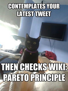 overly attached cat