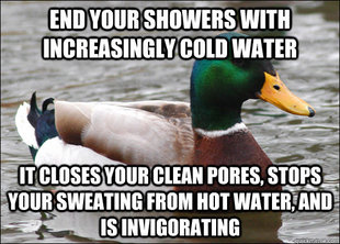 Actual Advice Mallard