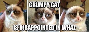 Dissapointed Cat