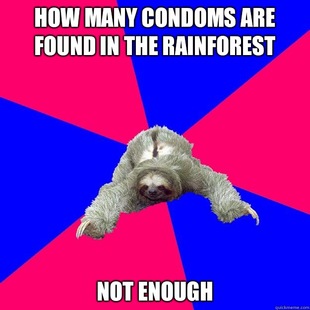 Math Major Sloth