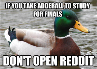 Actual Advice Mallard