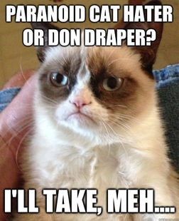 Grumpy cat