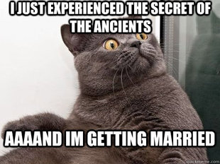 conspiracy cat