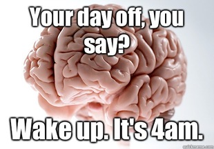 Scumbag Brain