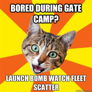 Bad Advice Cat