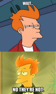 Enlightened Fry