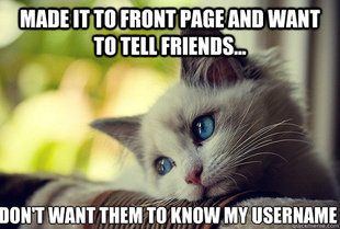 First World Problems Cat
