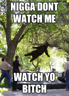 i am a falling bear