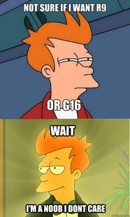 Enlightened Fry