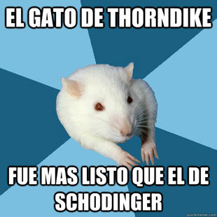 Psychology Major Rat