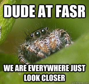 Misunderstood Spider