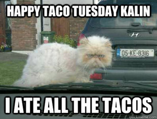 Grumpy cat