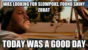 Today was a good day