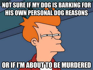 Futurama Fry