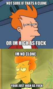 Enlightened Fry
