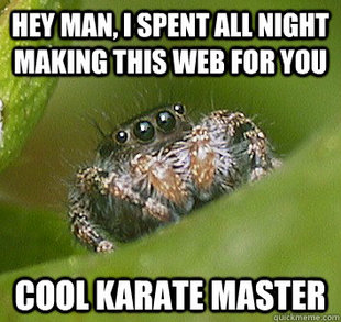 Misunderstood Spider