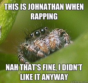Misunderstood Spider