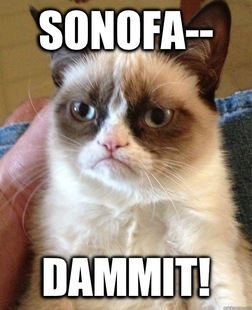 Grumpy cat