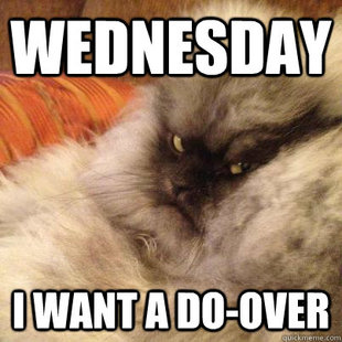 Angriest Cat
