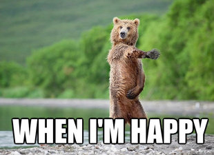 Karate Bear