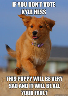 Ridiculously Photogenic Puppy