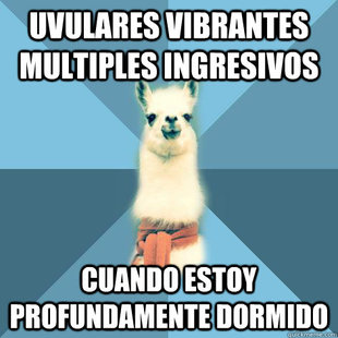 Linguist Llama