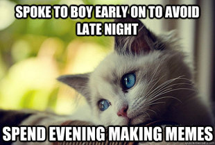 First World Cat Problems