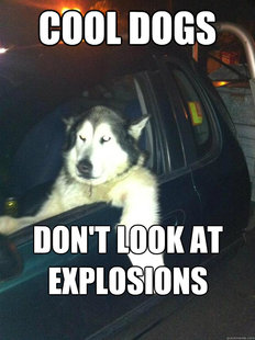 Mean Dog