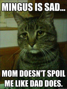 Depressed cat