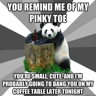 Pickup-Line Panda