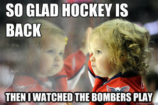 Die Hard Hockey Fan