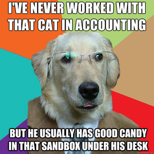 Business Dog