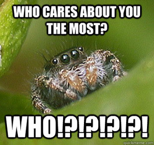 Misunderstood Spider
