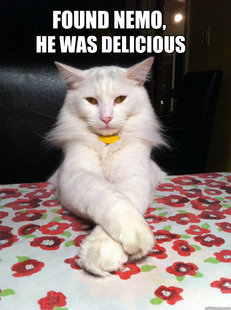 Evil Cat